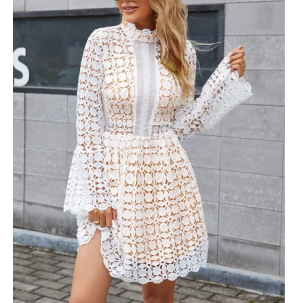 Luxurious mesh insert lace dress